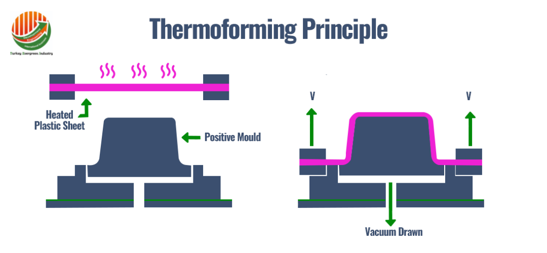 thermoforming 